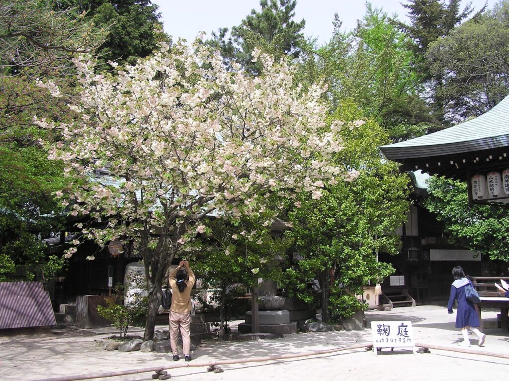 Shiramine Shrine